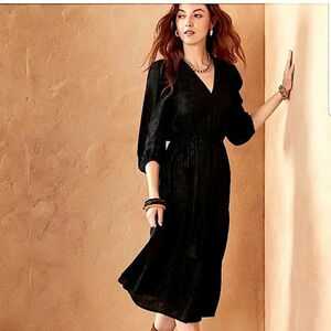 Banana Republic Puff Sleeve Satiny Dress
